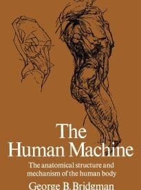The Human Machine